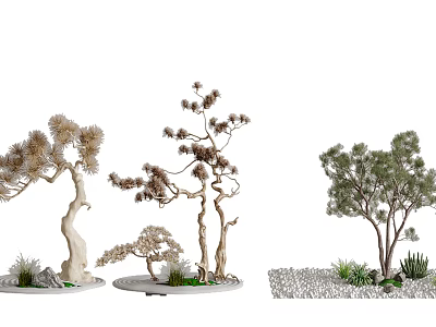 New Chinese style pine tree pine tree dead tree combination 3d model