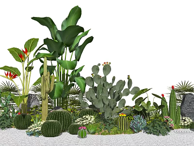 Garden Decorative Arrangement With Large Green Plants Cacti Succulents Small Flowers Stones And Pebbles 3d model