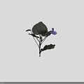 Vibrant Purple Flowers And Green Leaves Decorative Arrangement On Black Background