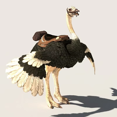 Standing Ostrich With Brown Leather Saddle And Black White Feathers Full Body View 3d model
