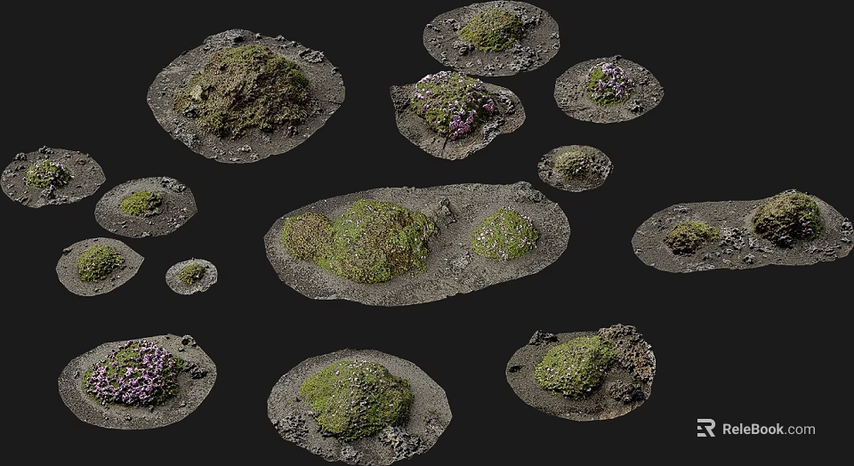 Natural Stone Wood Landscape Elements Covered With Moss And Small Plants 3d model 