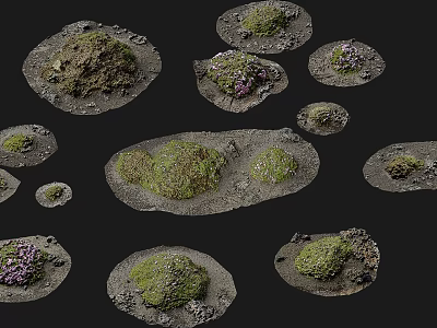 Natural Stone Wood Landscape Elements Covered With Moss And Small Plants 3d model
