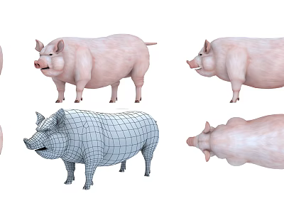 Reptile 3D Model Showcase With Various Angles Wireframe And Rendered Views 3d model
