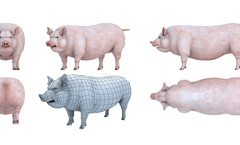 The Modern Pig 3d model