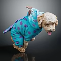 Adorable Dog in Blue Dinosaur Costume with Purple Spots Curly Fur Tongue Out Dark Background
