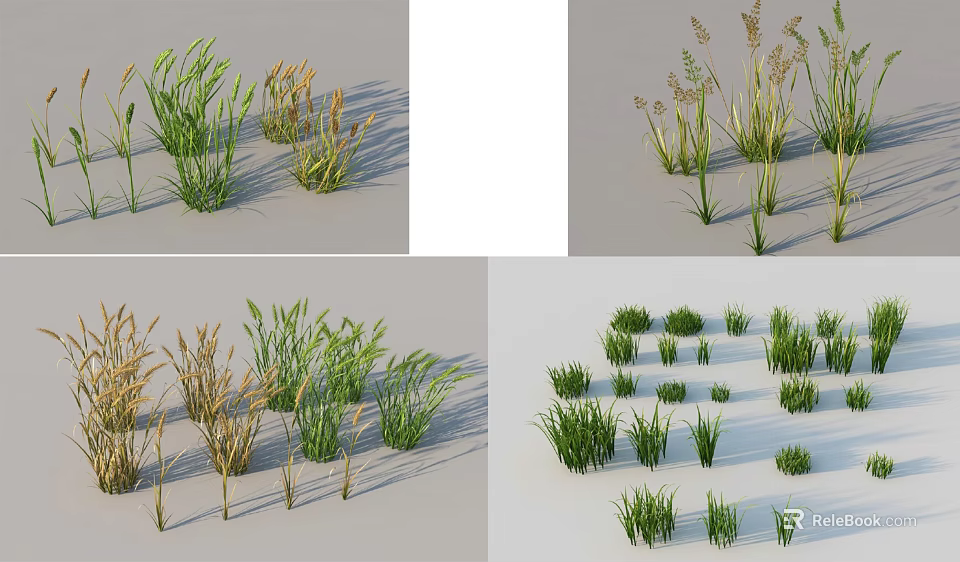 Various Types of Ground Cover Plants With Green and Yellow Foliage in Natural Arrangement 3d model 