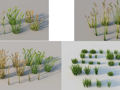 Various Types of Ground Cover Plants With Green and Yellow Foliage in Natural Arrangement 3d model