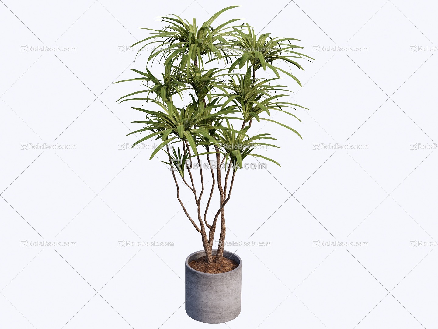 indoor potted plant 3d model