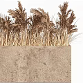 Decorative Ornament Set with Pampas Grass in Concrete Planter for Home Decor