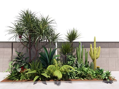 Diverse Tropical Plants Cactus And Ferns In Outdoor Garden Landscape With Greenery 3d model
