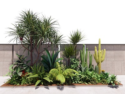 modern plant tropical plant combination cactus flower plant combination tropical plant green plant model