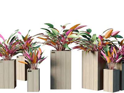 Colorful Flowers and Plants Displayed in Wooden Square Pots of Various Sizes 3d model