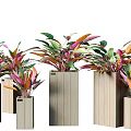 Colorful Flowers and Plants Displayed in Wooden Square Pots of Various Sizes