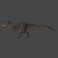 Realistic Tyrannosaurus Dinosaur 3D Model With Detailed Texture And Gray Background