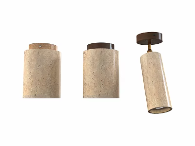 Modern Downlights And Spotlights With Textured Stone Finish And Neutral Color Styles 3d model