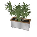 Indoor Green Plant In Decorative Planter With Wooden Border And White Stripes