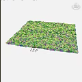 Lush Green Grass Lawn With Fresh Leaves In Natural Garden Setting
