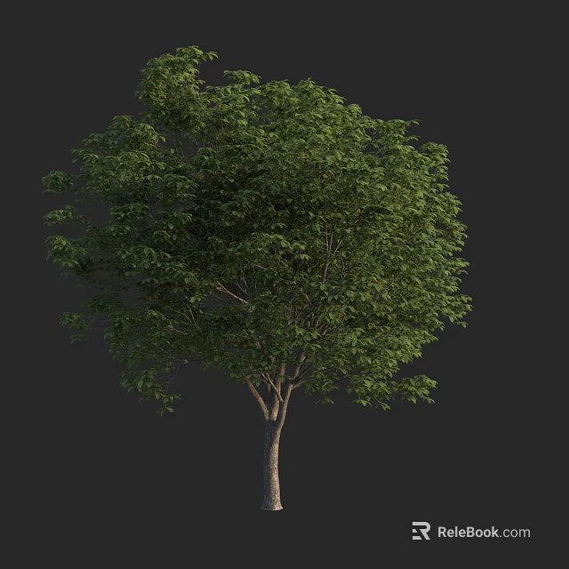 Lush Green Arbor With Dense Foliage Full Canopy And Brown Trunk 3d model 