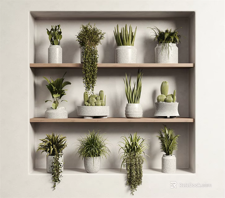 Indoor Bonsai and Potted Plants Display On Wooden Shelves With White Pots And Various Greenery 3d model 