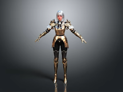 Woman In Golden Ornate Armor With Silver Hair On Gray Background 3d model