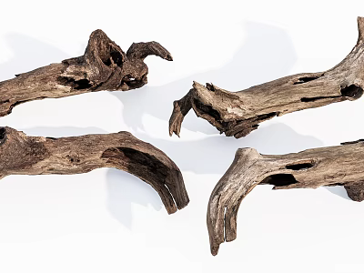 Natural Stone And Wood Decorative Elements With Organic Shapes And Textures 3d model