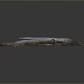 Natural Wooden Log Resting on Pebble Covered Oval Decorative Surface