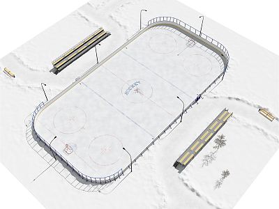 modern hockey rink model