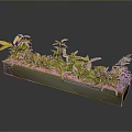Various Green Plants in Rectangular Planter with Different Leaf Shapes on Dark Background