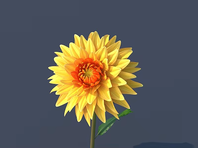 Yellow and Orange Dahlia Flower with Vibrant Petals and Fresh Green Leaves Against Dark Background 3d model