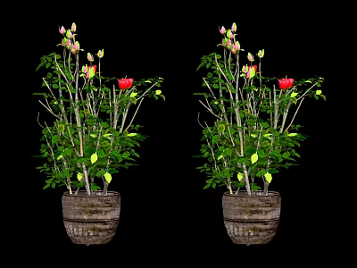 Bonsai Potted Plant with Green Leaves Pink and Red Flowers in Wooden Barrel Planter 3d model