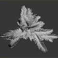 Silver Palm Tree with Feathery Fronds and Brown Trunk on Neutral Grey Background