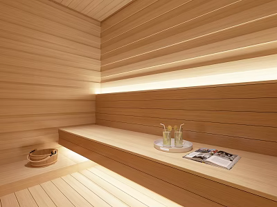 Modern SPA Sauna Interior Design With Wooden Panels Benches And Soft Lighting 3d model