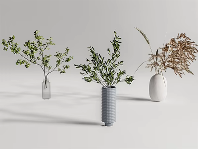 Three Different Vases With Green Branches Lush Plants And Brown Dried Grass For Home Decor 3d model