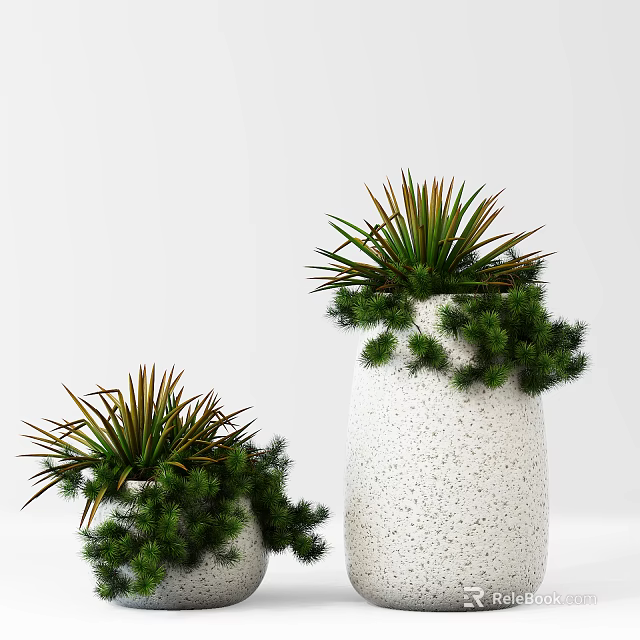 Bonsai Potted Plants In Tall And Short White Porous Textured Pots With Slender Leaves 3d model 