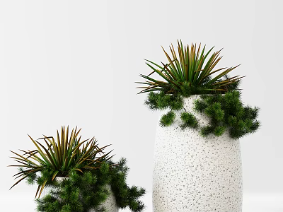 Bonsai Potted Plants In Tall And Short White Porous Textured Pots With Slender Leaves 3d model