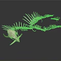 Metallic Animal Skeleton Model With Intricate Wing Structure And Bone Details