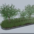 Green Shrubs And Small Trees In Garden Landscape With Stone Edging Design