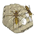 Detailed Wasp Dolls With Yellow Black Stripes And Transparent Wings On Polygonal Stone Object
