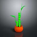 Household Decorative Green Bamboo in Orange Pot with Slender Stems and Fresh Leaves