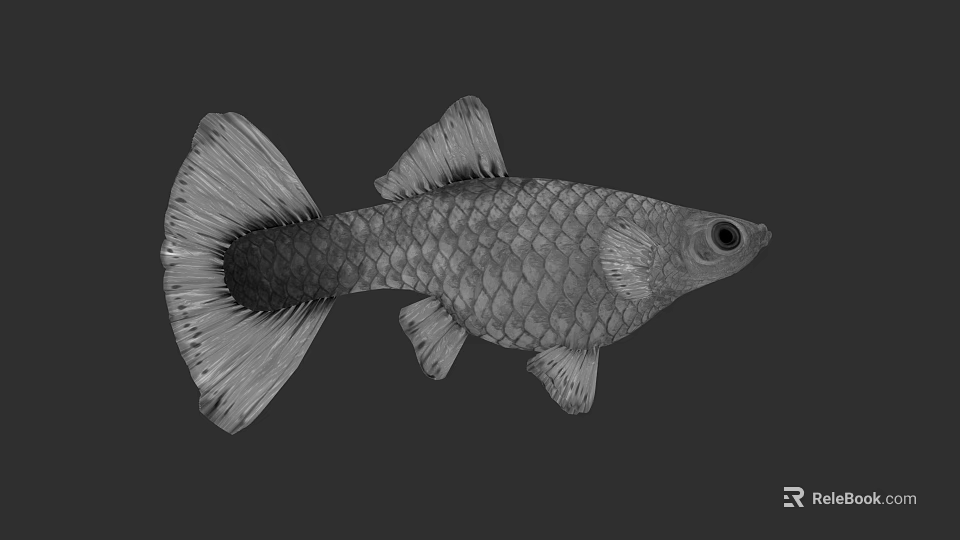 Detailed Aquatic Fish With Silver Scales Fan Shaped Tail And Sleek Body Structure 3d model 