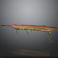 Vibrant Pink and Yellow Long-Beaked Insect on Dark Background with Reflection