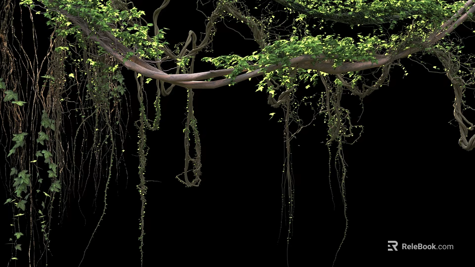 Lush Hanging Plants With Trailing Vines And Green Leaves On Black Background 3d model 