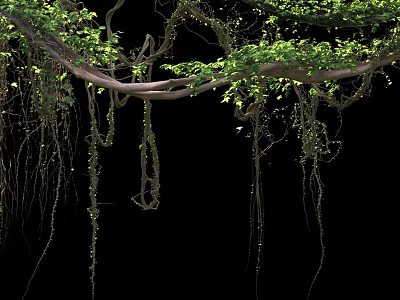 Lush Hanging Plants With Trailing Vines And Green Leaves On Black Background 3d model