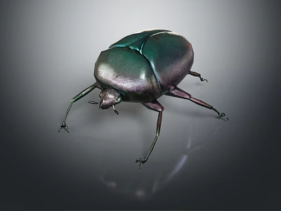 Metallic Iridescent Beetle With Green Purple Shiny Exoskeleton On Reflective Surface 3d model