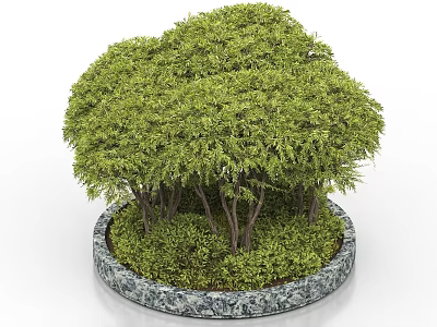 Circular Tree Pit With Lush Green Plants Tree Trunks And Marble Edge 3d model