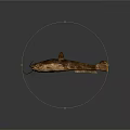 Freshwater Aquatic Animal With Long Whiskers Brown Spotted Body Fins And Tail