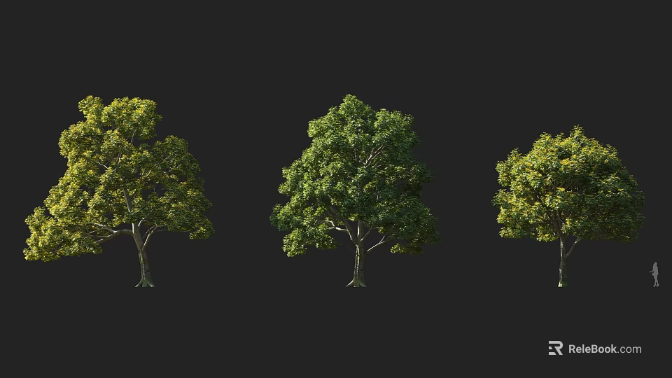 Three Different Shaped Trees With Lush Green Foliage Against Black Background 3d model 