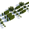 Well Trimmed Shrubs in Various Shapes with Lush Green Foliage for Garden Landscape Design