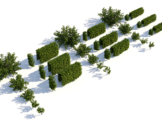 Modern shrubs 3d model