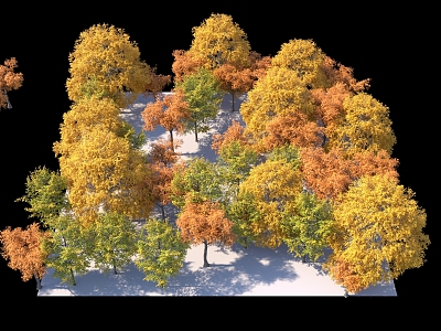 autumn trees red leaves autumn woods winter trees golden trees autumn leaves mangrove 3d model